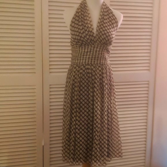 Maggy London NWOT classy polka dot dress